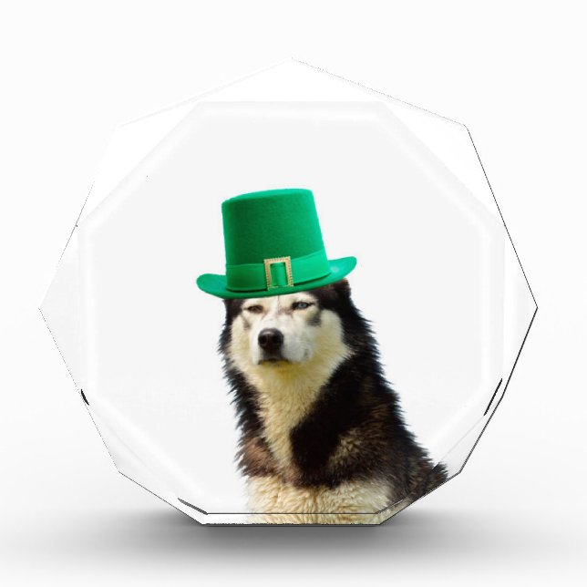 Siberian Husky Dog St. Patrick's day Acrylic Award (Front)