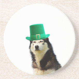 Siberian Husky Dog St. Patrick's day Coaster