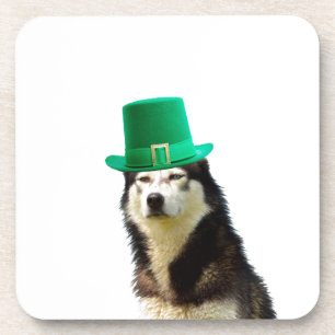 Siberian Husky Dog St. Patrick's day Drink Coaster