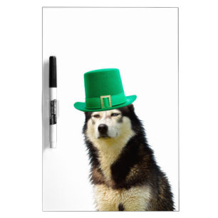 Siberian Husky Dog St. Patrick's day Dry-Erase Board
