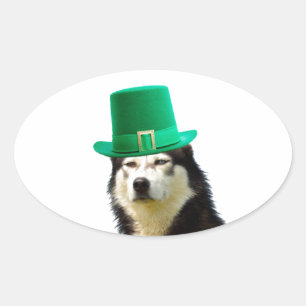 Siberian Husky Dog St. Patrick's day Oval Sticker