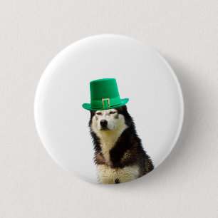 Siberian Husky Dog St. Patrick's day Pinback Button