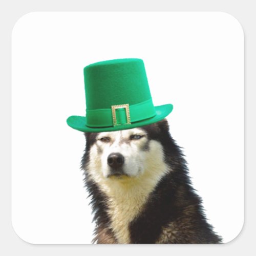 Siberian Husky Dog St Patricks day Square Sticker