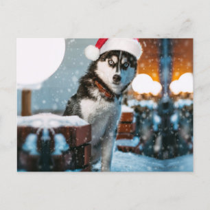 Siberian Husky dog wearing santa hat Postcard