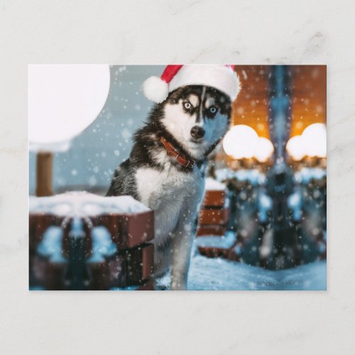 Siberian Husky dog wearing santa hat Postcard