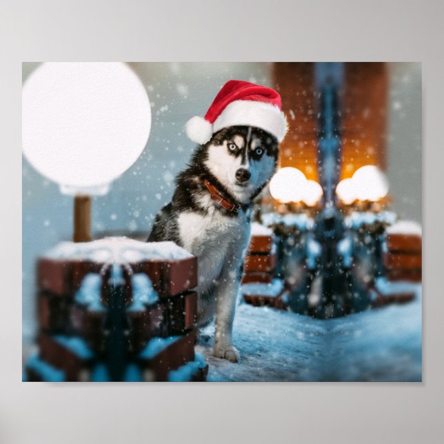 Siberian Husky dog wearing santa hat Poster (Front)