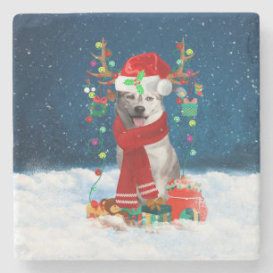 Siberian Husky dog with Christmas gifts  Stone Coaster