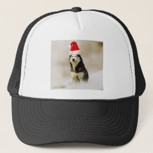 Siberian Husky Dog with Santa Hat in Snow