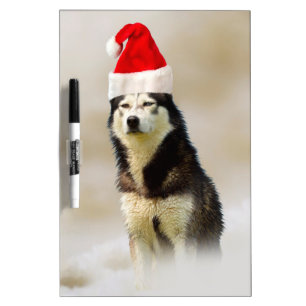 Siberian Husky Dog with Santa Hat in Snow Dry-Erase Board
