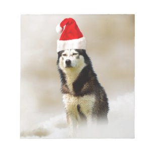 Siberian Husky Dog with Santa Hat in Snow Notepad
