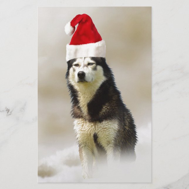 Siberian Husky Dog with Santa Hat in Snow Stationery (Front)