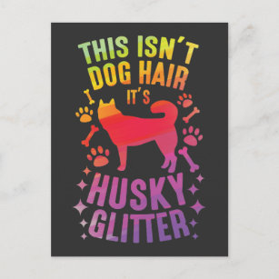 Siberian Husky Dog Wolf Funny huskies Dog Hair Postcard