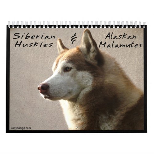 Siberian Husky Dogs Wall Calendar