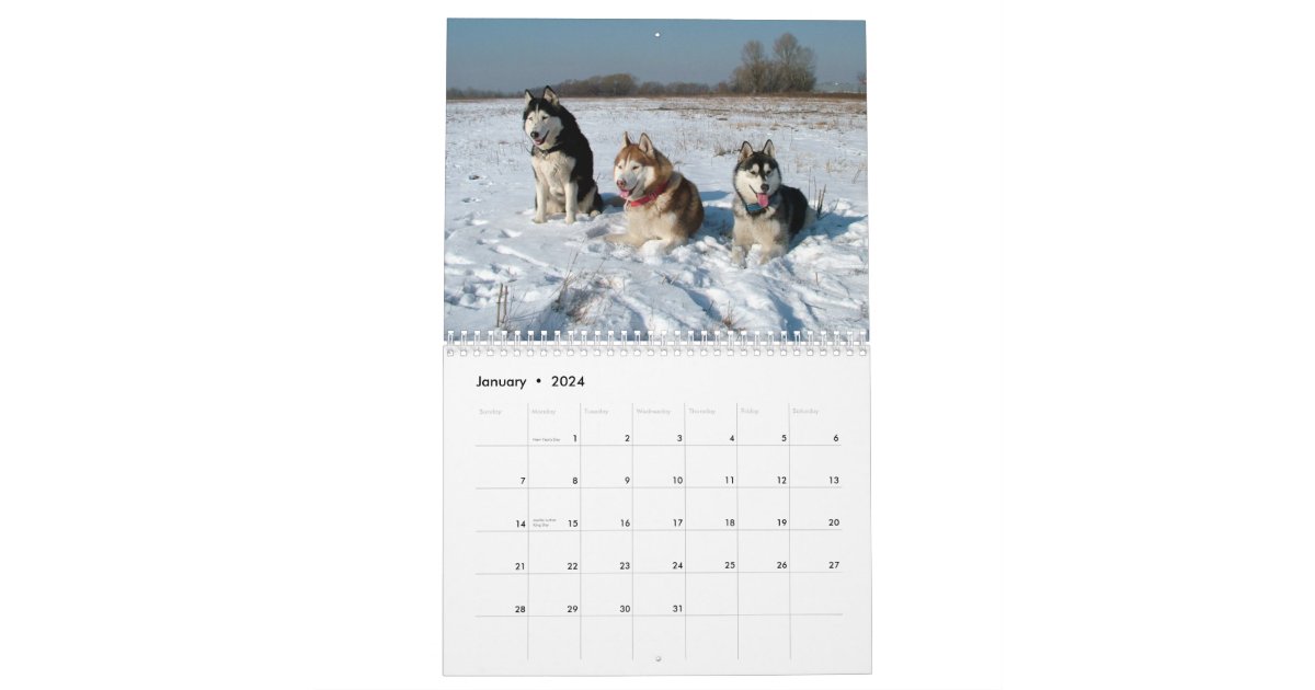 Siberian Husky Dogs Wall Calendar Zazzle