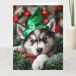 Siberian Husky Elf Puppy Christmas Card