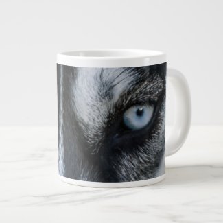 Siberian Husky Eyes