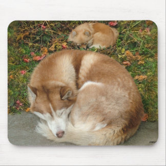 Siberian Husky & German Klein Spitz Pomeranian Mouse Pad