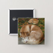 Siberian Husky & German Klein Spitz Pomeranian Pinback Button (Front & Back)