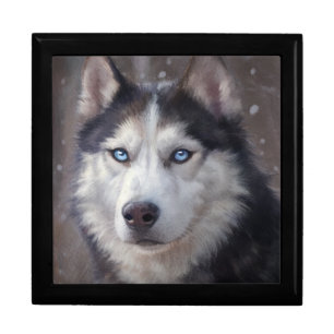 Siberian Husky Gift Box