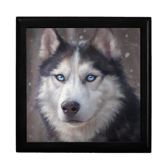 Siberian Husky Gift Box (Front)