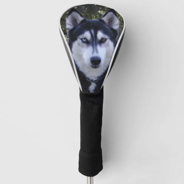 Siberian Husky Golf Club Cover Zazzle