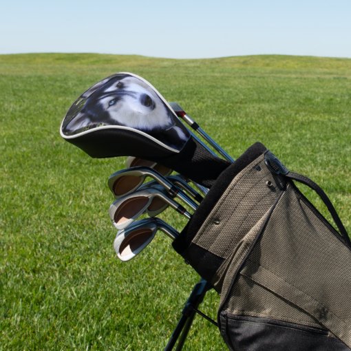 Siberian Husky Golf Club Cover Zazzle
