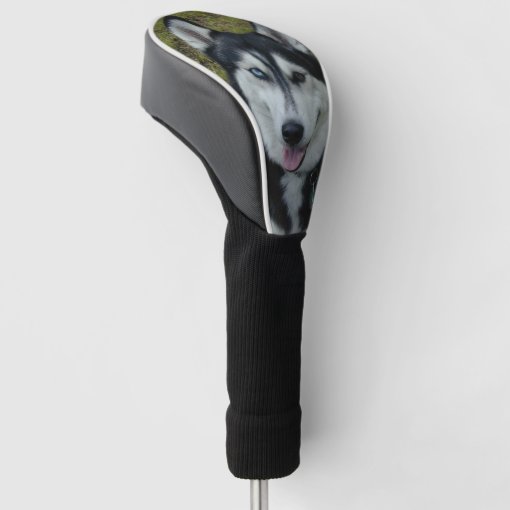 Siberian Husky Golf Club Cover Zazzle