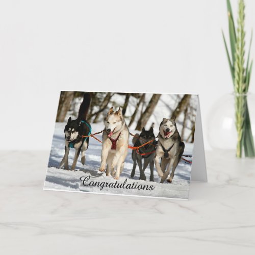 Siberian Husky Graduation Card