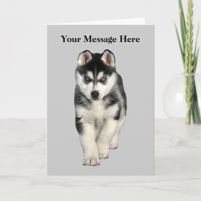 Siberian Husky Greeting Card (Front)