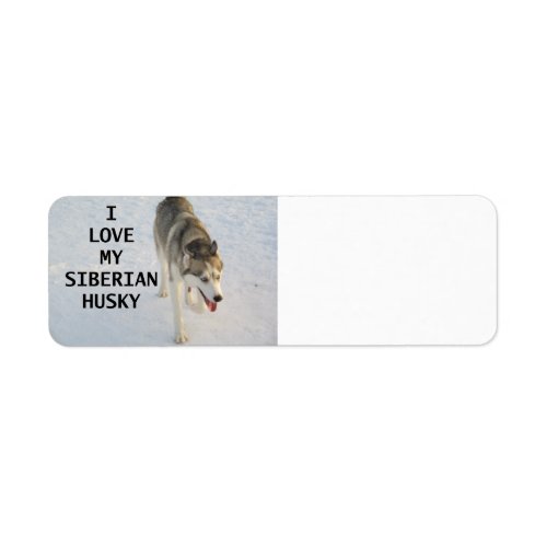 siberian husky grey and white love w pic label