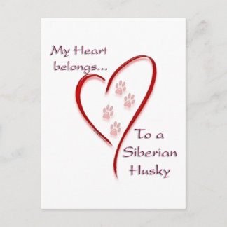 Siberian Husky Heart Belongs Postcard