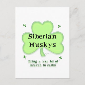 Siberian Husky Heaven; Husky St. Patrick's day Postcard
