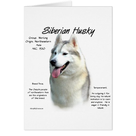 Siberian Husky History Design (Front)
