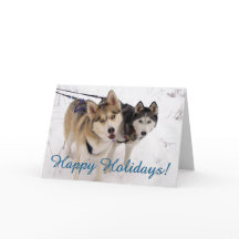Siberian Husky Holiday Card