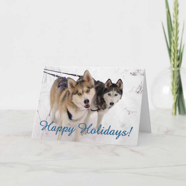 Siberian Husky Holiday Card (Front)
