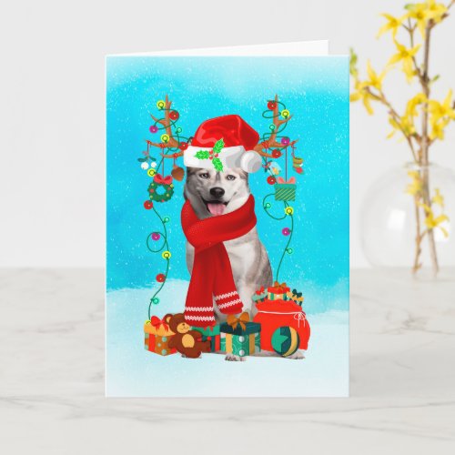 siberian husky in snow with Christmas gifts  Card