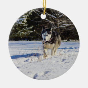 Siberian Husky In The Snow Ceramic Ornament