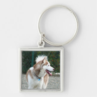 Siberian Husky keychain
