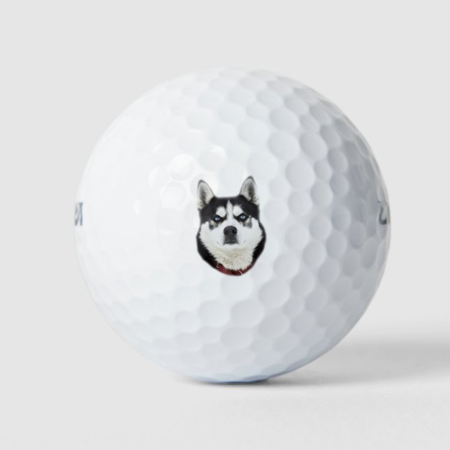 Siberian Husky Looks Angry Golf Balls (Front)