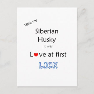 Siberian Husky Love at First Lick Postcard