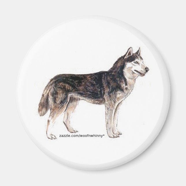 Siberian Husky! Magnet (Front)