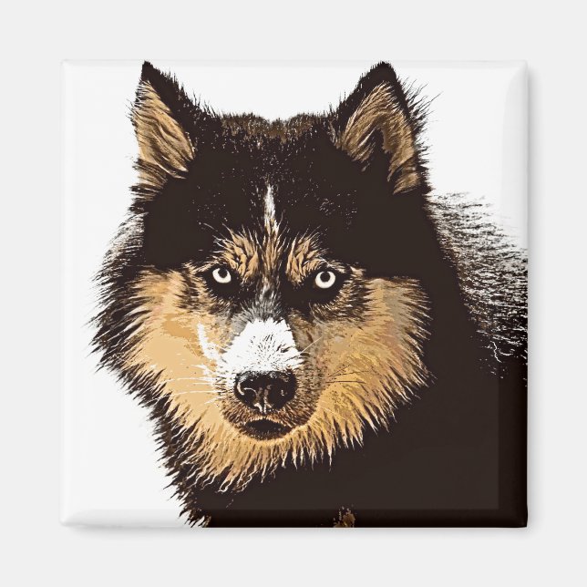 Siberian Husky Magnet (Front)