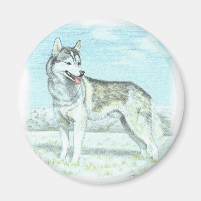 Siberian Husky Magnet (Front)