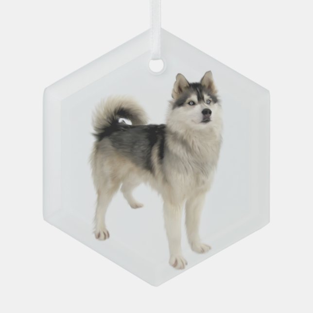 Siberian Husky Malemute Dog Pet Animal  Glass Ornament (Front)
