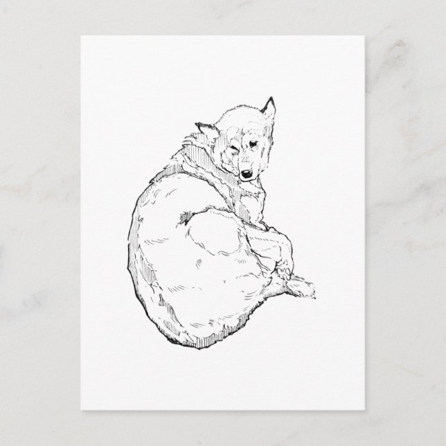 Siberian Husky, Minimalist Dog Illustration  Postcard (Front)
