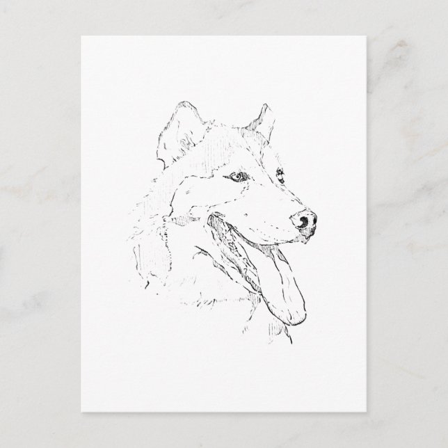 Siberian Husky – Minimalist Dog Line Drawing Holiday Postcard (Front)