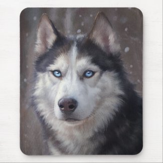 Siberian Husky