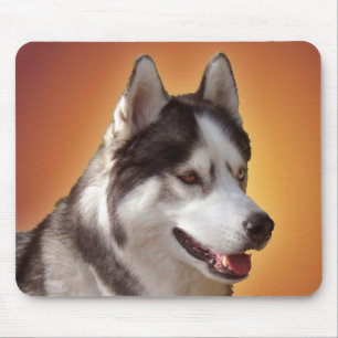 Siberian Husky Mousepad Gifts Malamute Sled Dogs