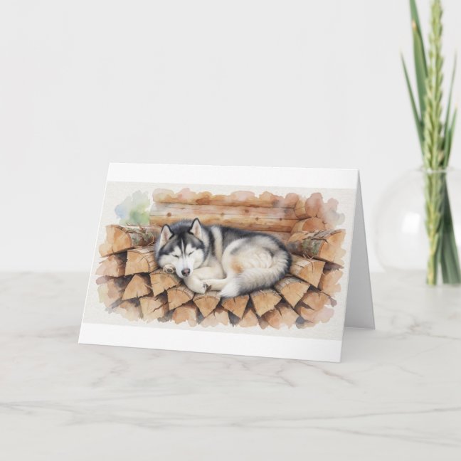 Siberian Husky Collection — preview