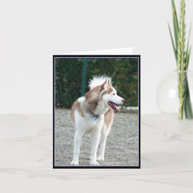 Siberian Husky Notecard (Front)